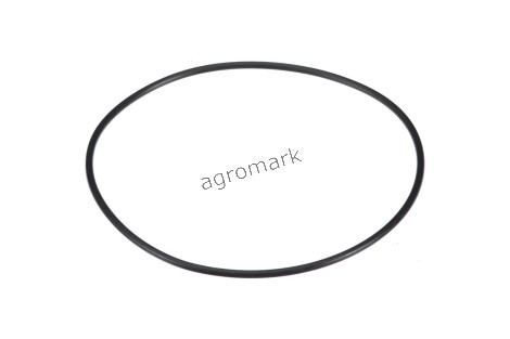O-ring