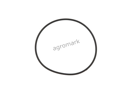 O-ring