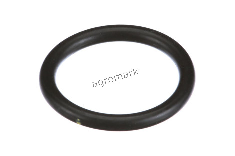 O-RING