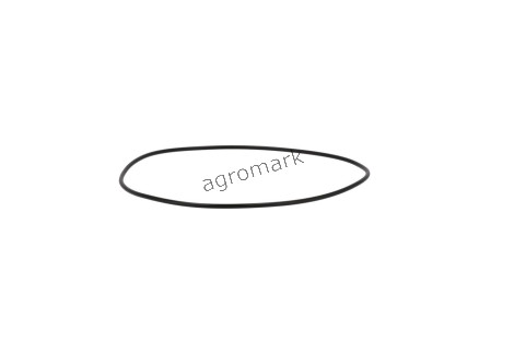 O-RING