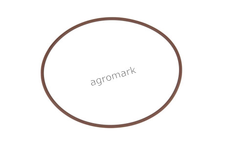 O-ring