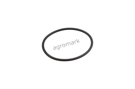 O-ring