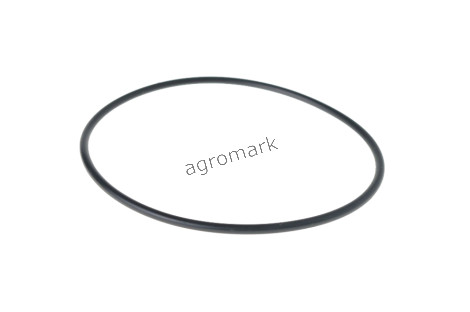 Pierścień oring.98,02x3,53  b67955