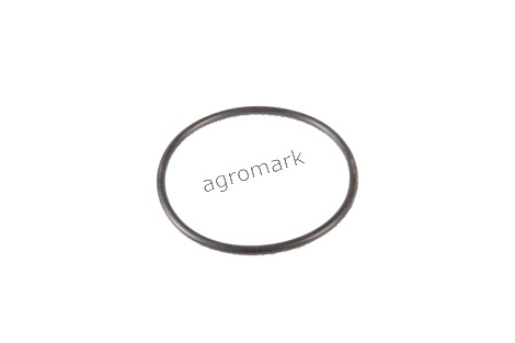 Oring B17533 123/9960099