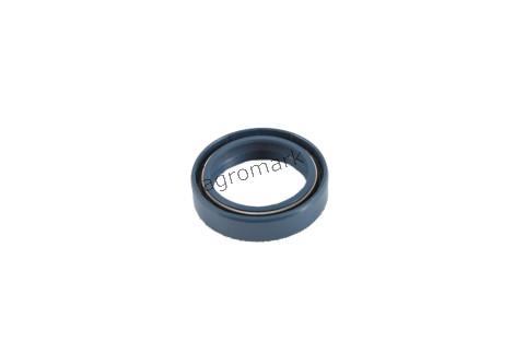 Uszczelniacz 21/305-17 45x62x14