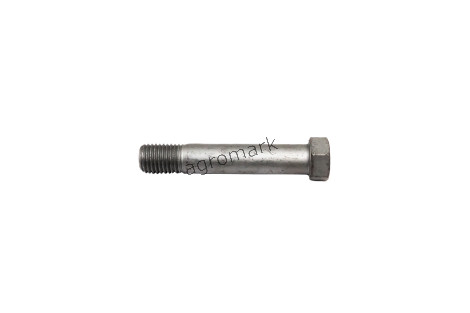 Śruba M20x110