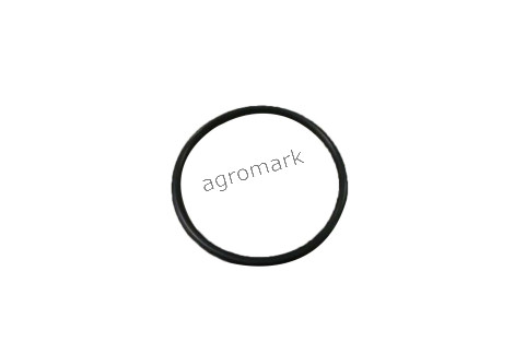 O-ring