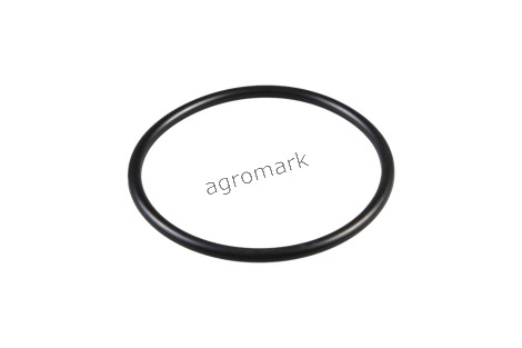 O-ring