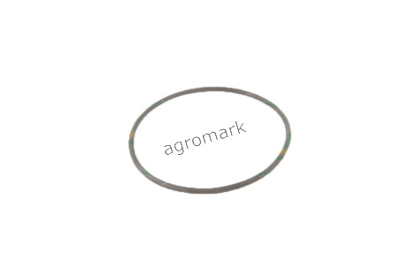 O-ring