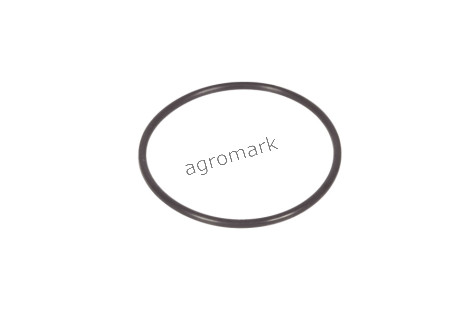 O-ring