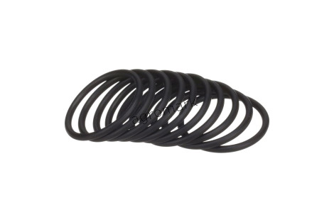 O-ring