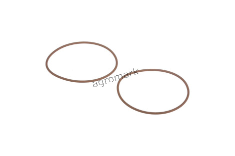 O-ring