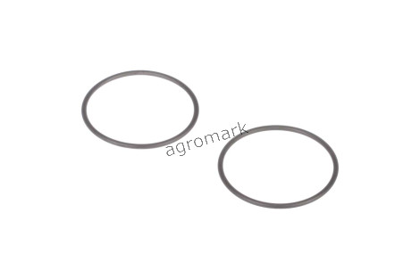 O-ring