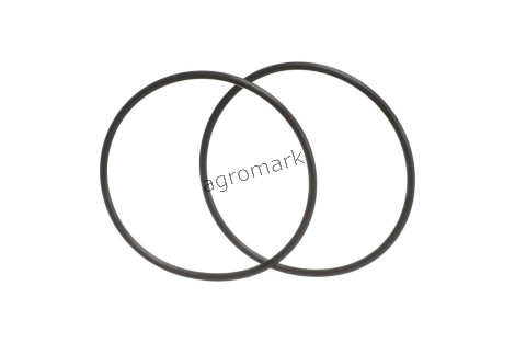 O-ring