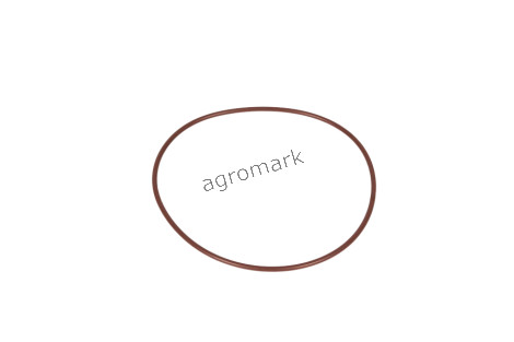 O-ring