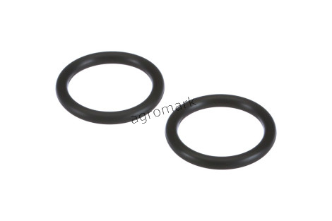 O-ring