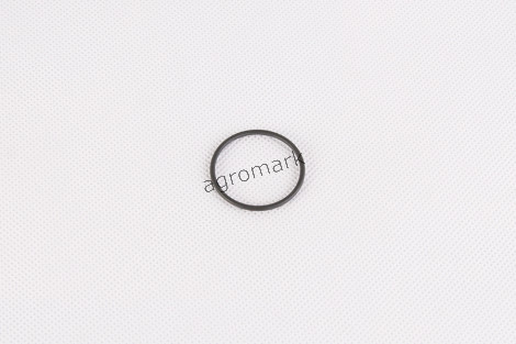 O-ring