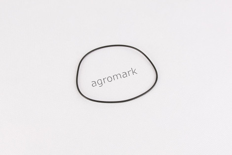 O-ring