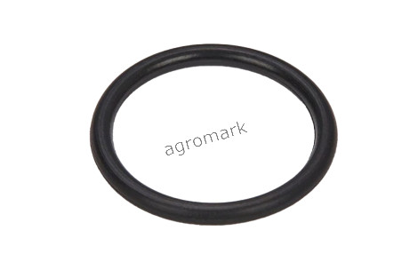 O-ring