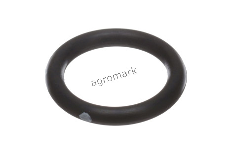 O-ring