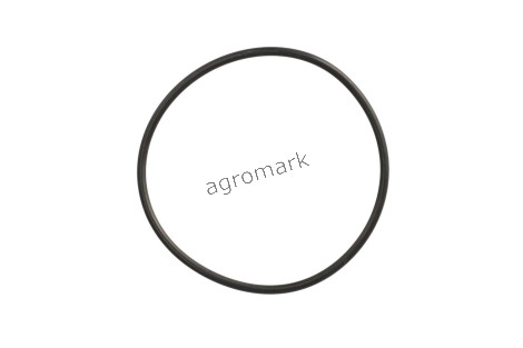 O-ring