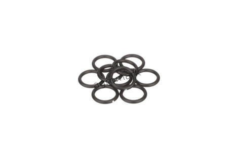 O-ring