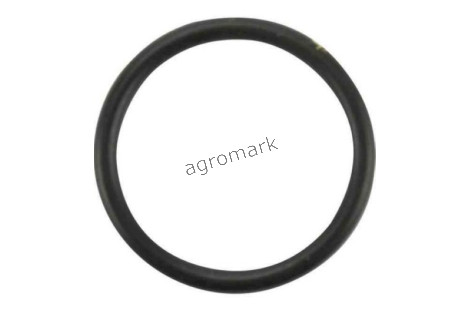 O-ring
