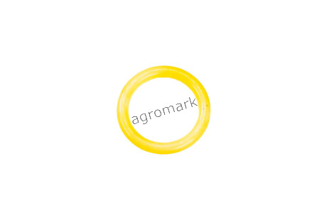 O-ring