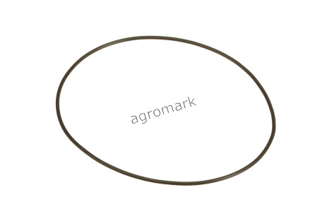 O-ring