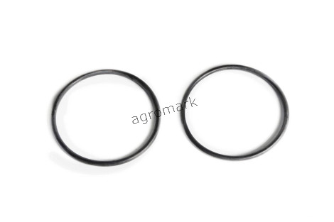 O-ring