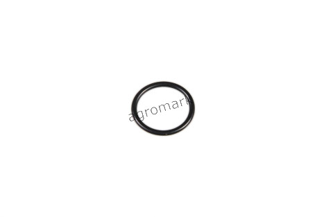O-ring