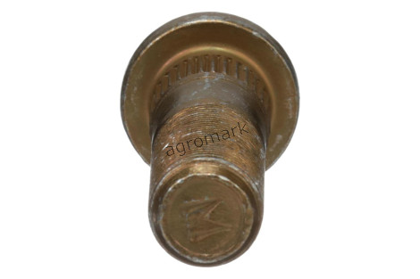 Śruba dwustronna M20X79,5