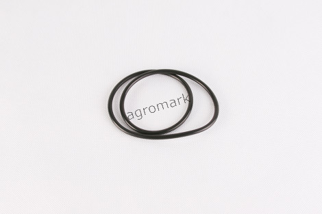 O-ring