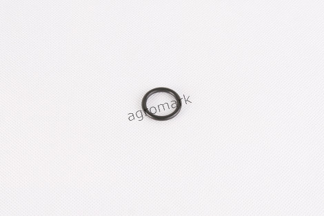 O-ring