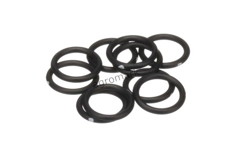 O-ring