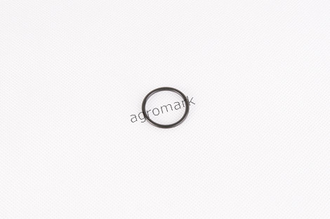 O-ring