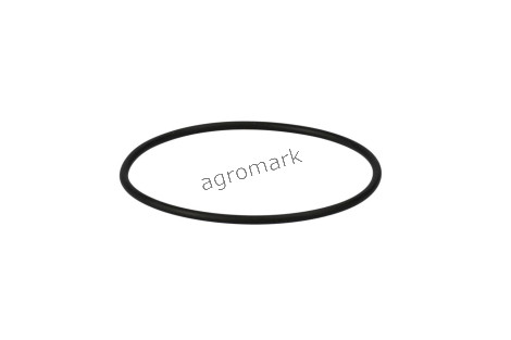 O-ring
