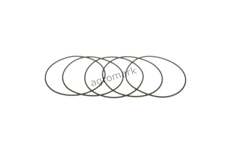 O-ring