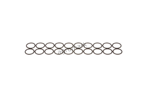 O-ring