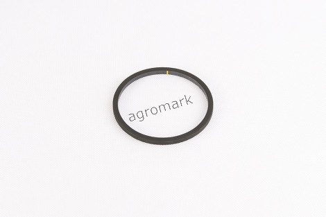 O-ring