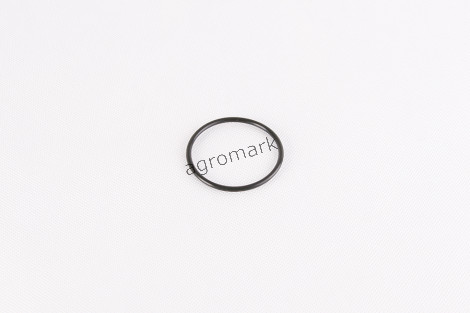 O-ring pompy wodnej