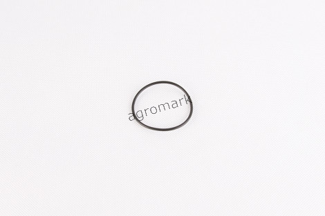 O-ring