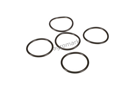 O-ring