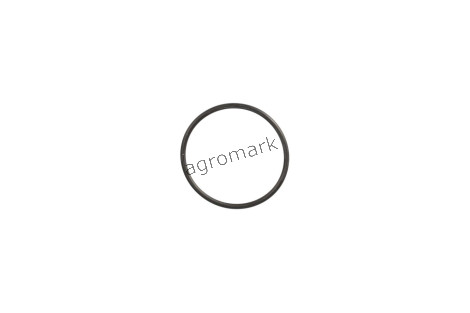 O-ring