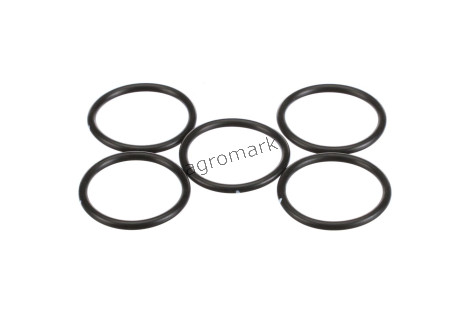 O-ring
