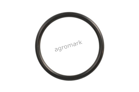 O-ring