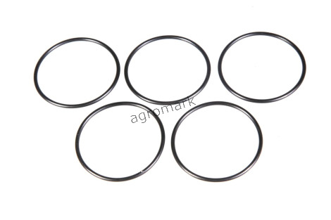 O-ring