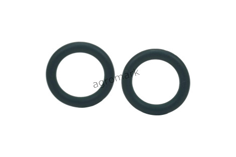 O-ring