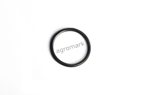 O-ring