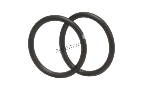 O-ring